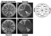 FIG. 6