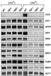 FIG. 7