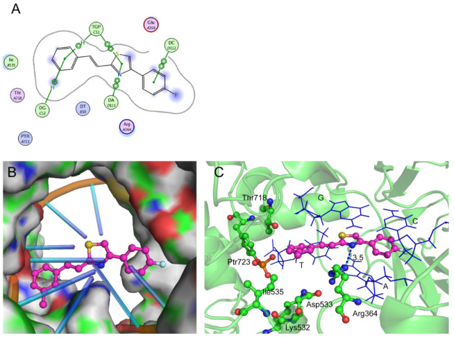 Figure 4