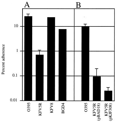 FIG. 6