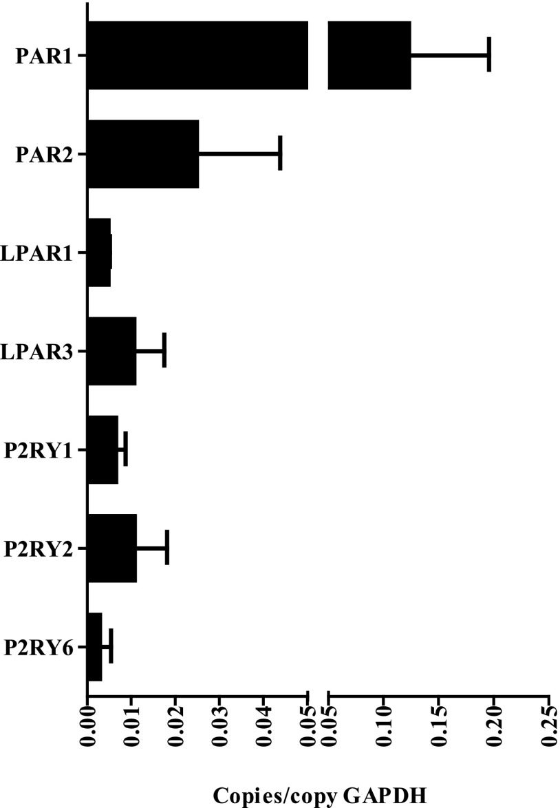 FIGURE 1.