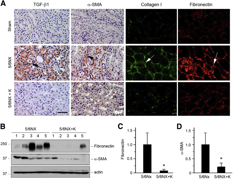 Figure 6