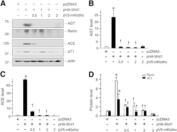 Figure 10