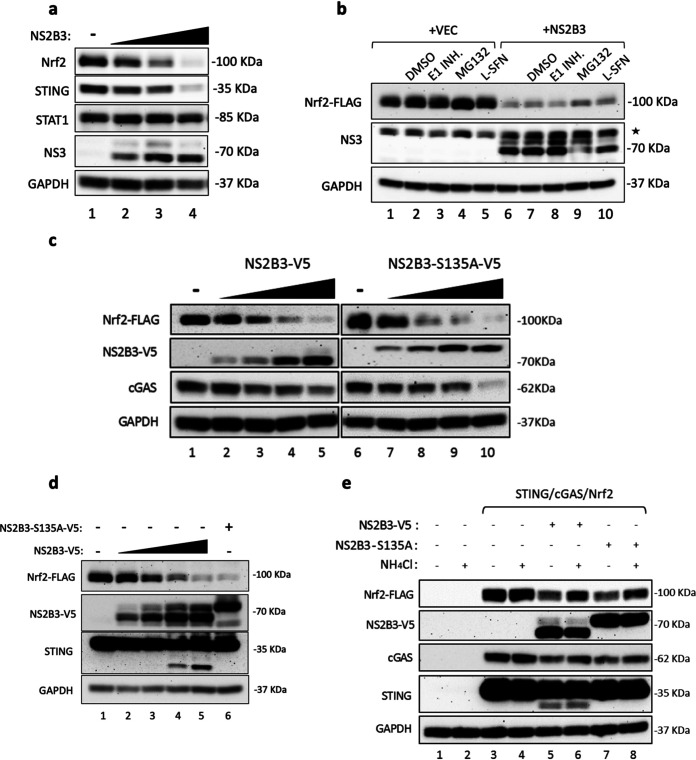 FIG 6