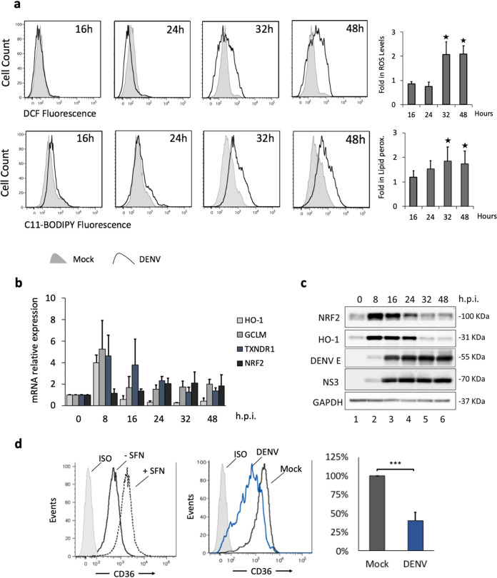 FIG 2