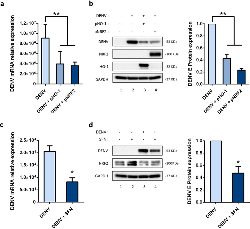 FIG 4