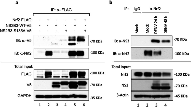 FIG 7