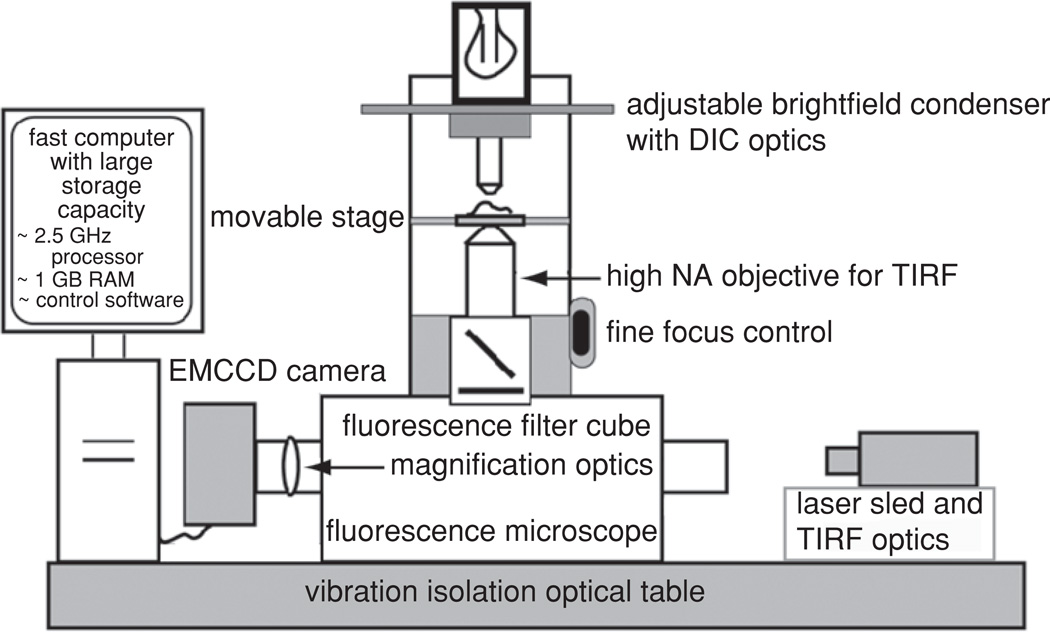 Figure 4.21.3