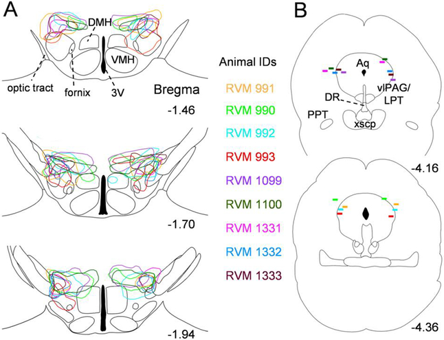 Figure 3: