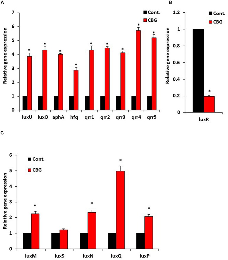 FIGURE 6