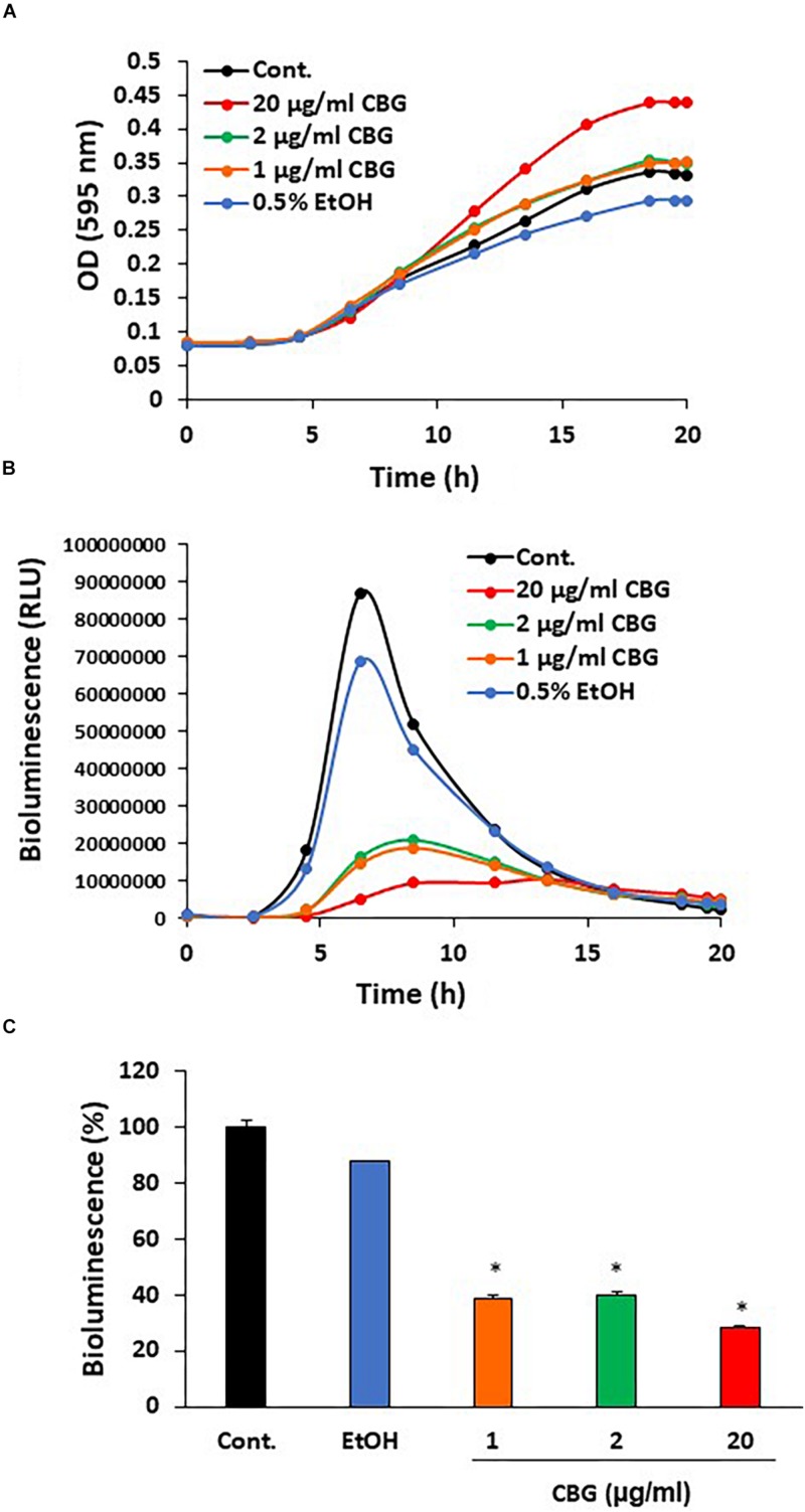 FIGURE 2