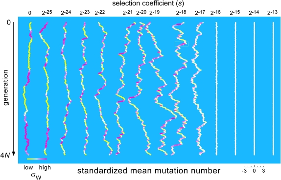 Figure 7.—