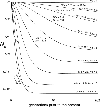 Figure 4.—