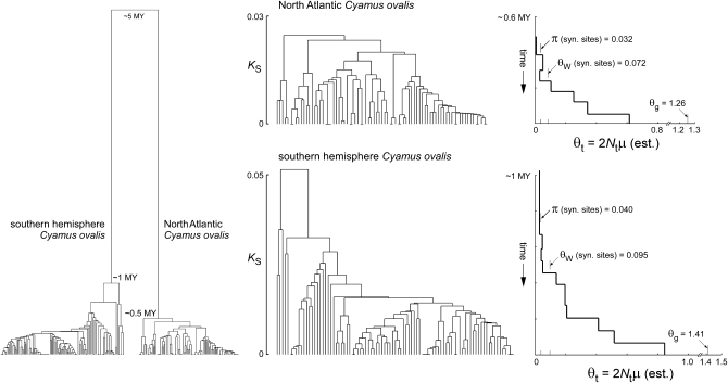 Figure 1.—