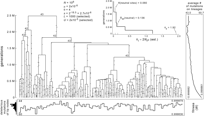 Figure 3.—