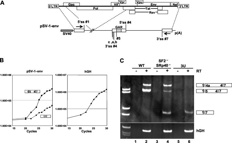 FIG. 7.