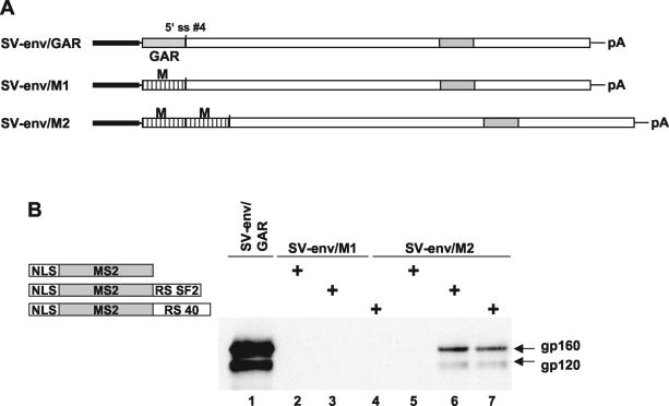 FIG. 5.