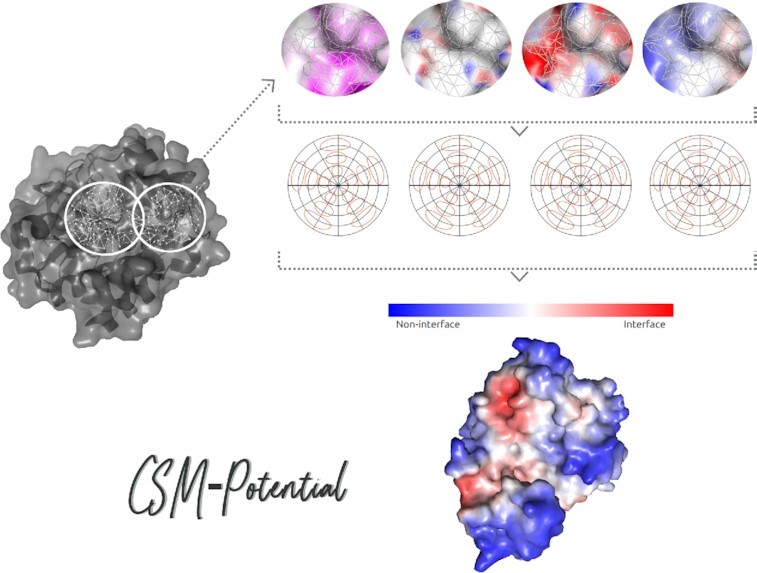 Graphical Abstract