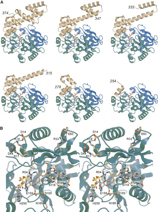 FIGURE 1.