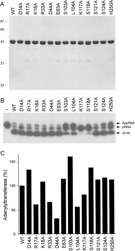 FIGURE 7.