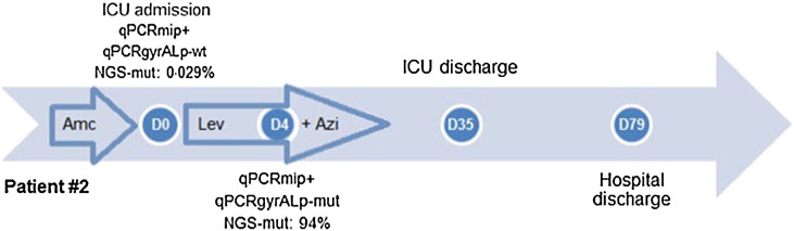 Fig. 2