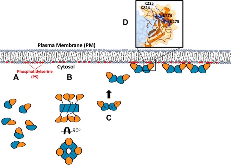 Figure 9.