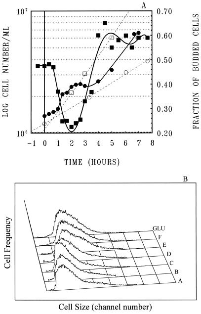 FIG. 1