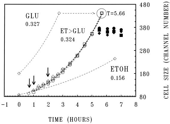 FIG. 3