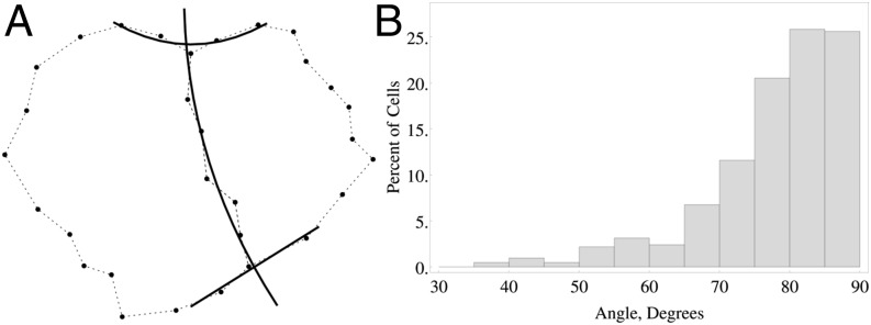 Fig. 5.