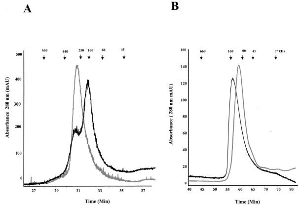 FIG. 5.