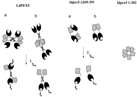 FIG. 8.