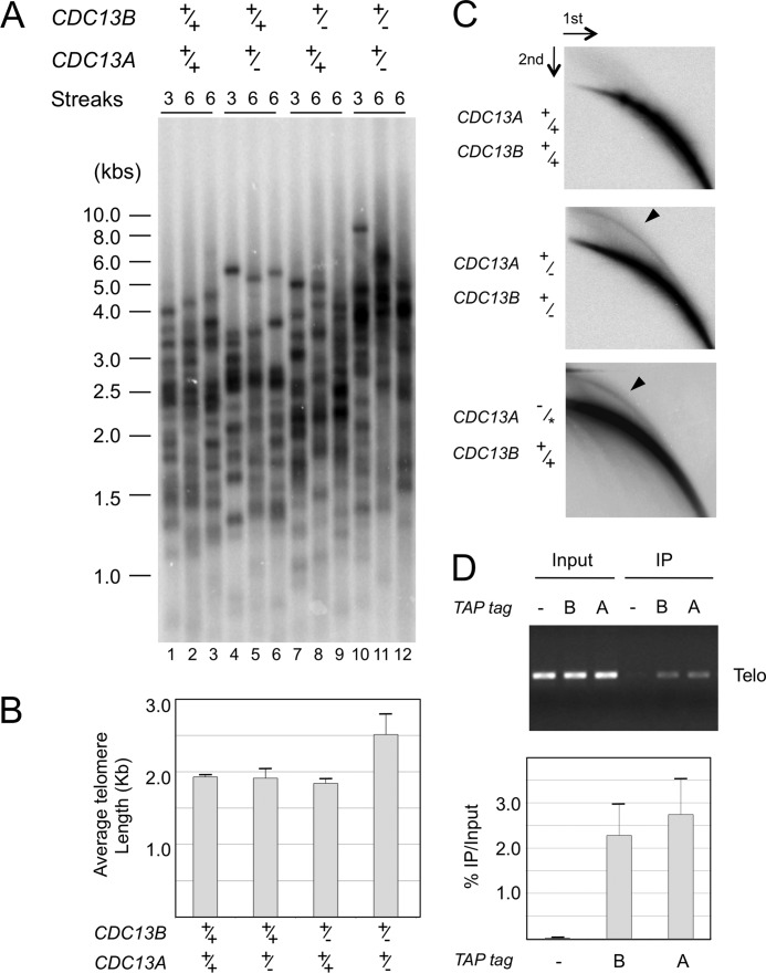 FIGURE 2.