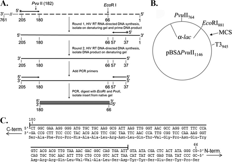 FIG 1