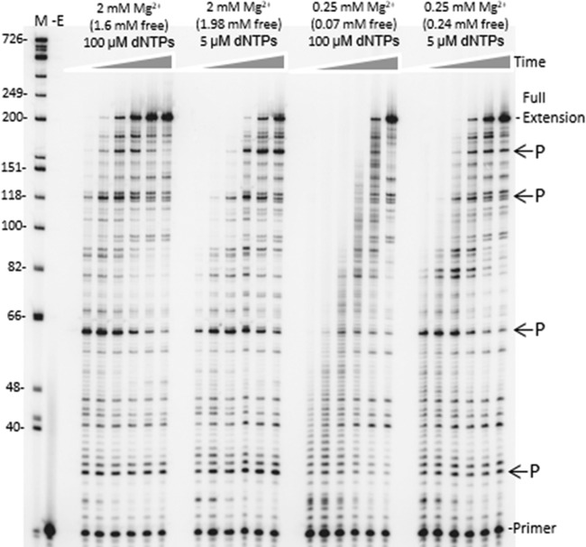 FIG 5