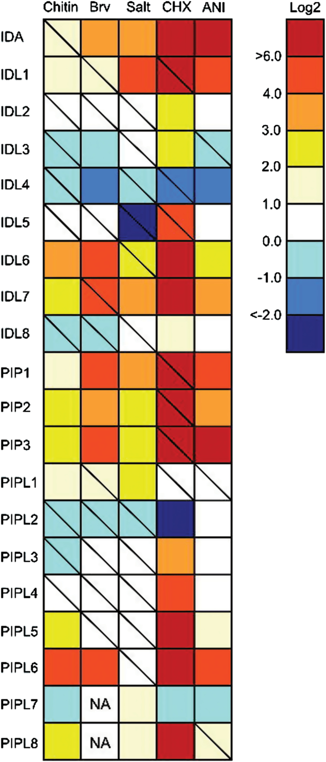 Fig. 8.