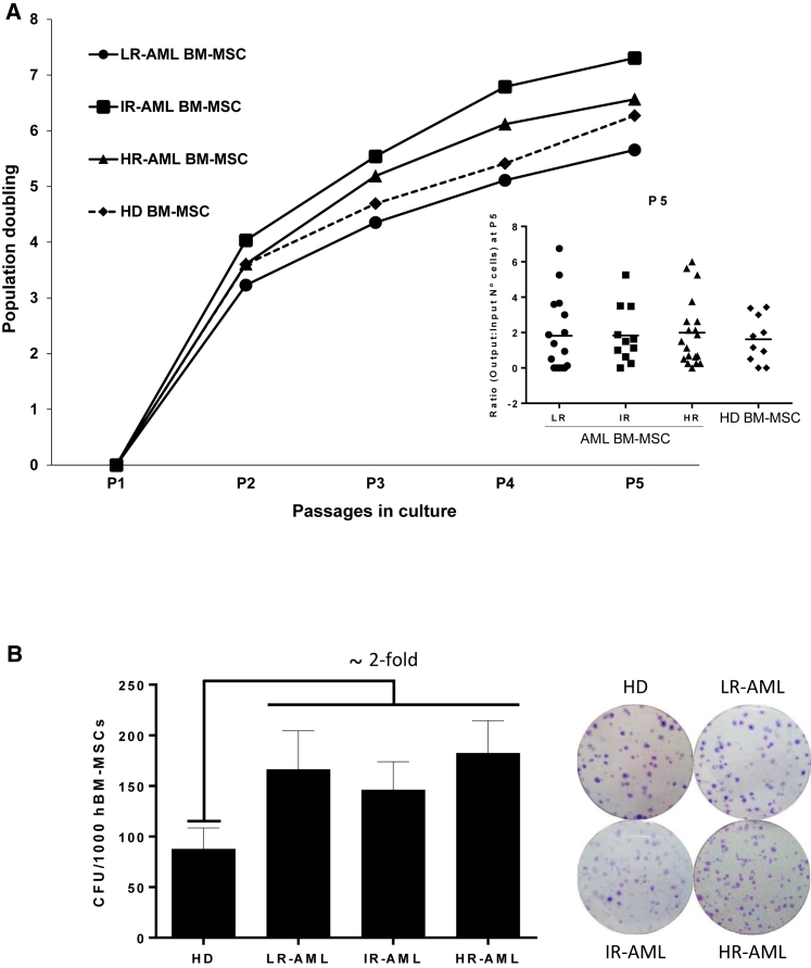 Figure 2