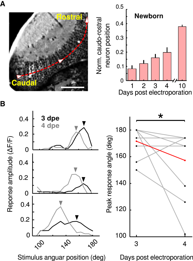 Figure 3