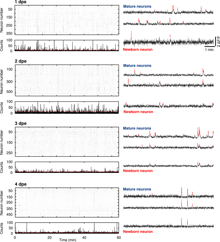 Figure 4