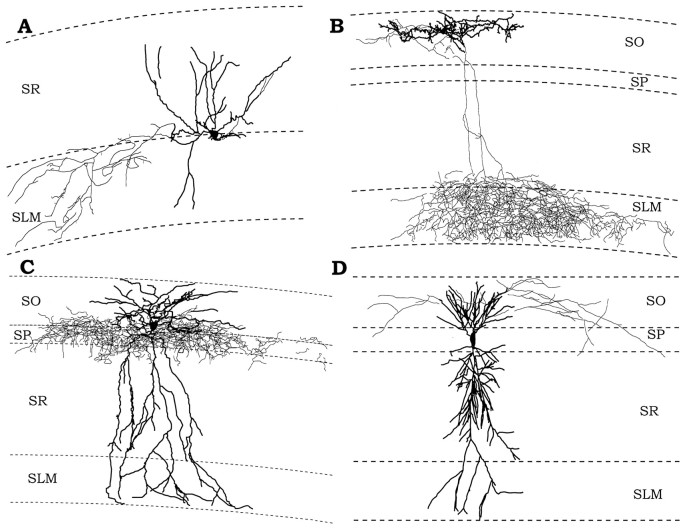 Fig. 6.