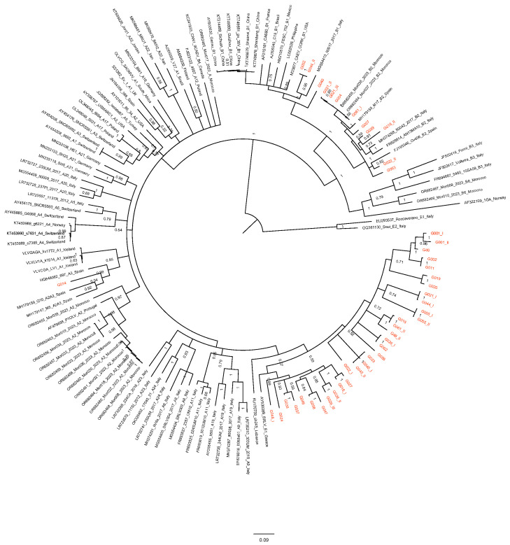 Figure 2