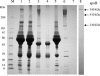 FIG. 5.