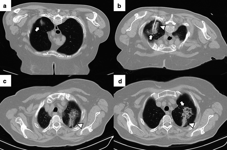 Fig. 7