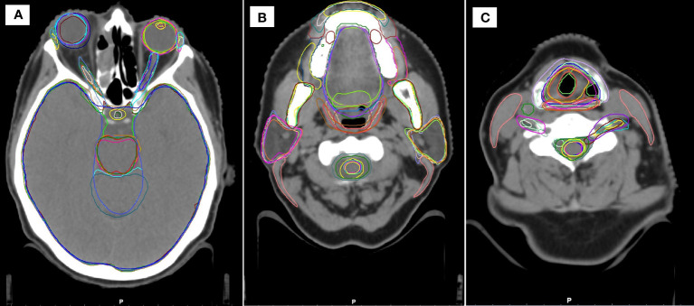 Figure 1