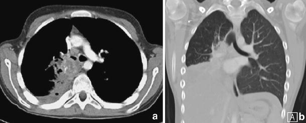 Fig. 8