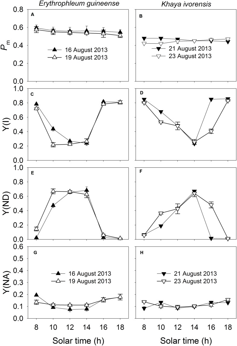 FIGURE 4