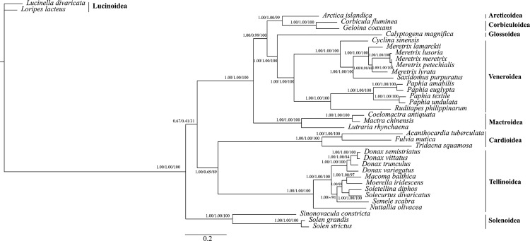 Fig 2