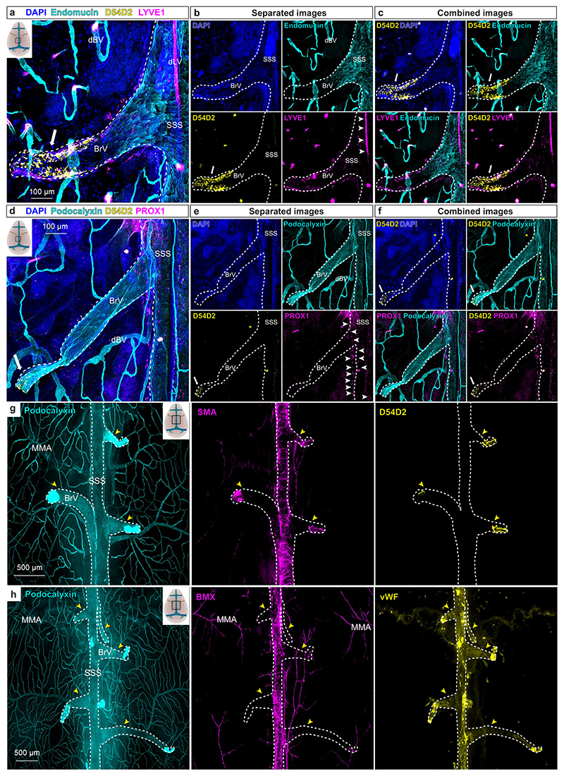 Extended Data Fig. 4