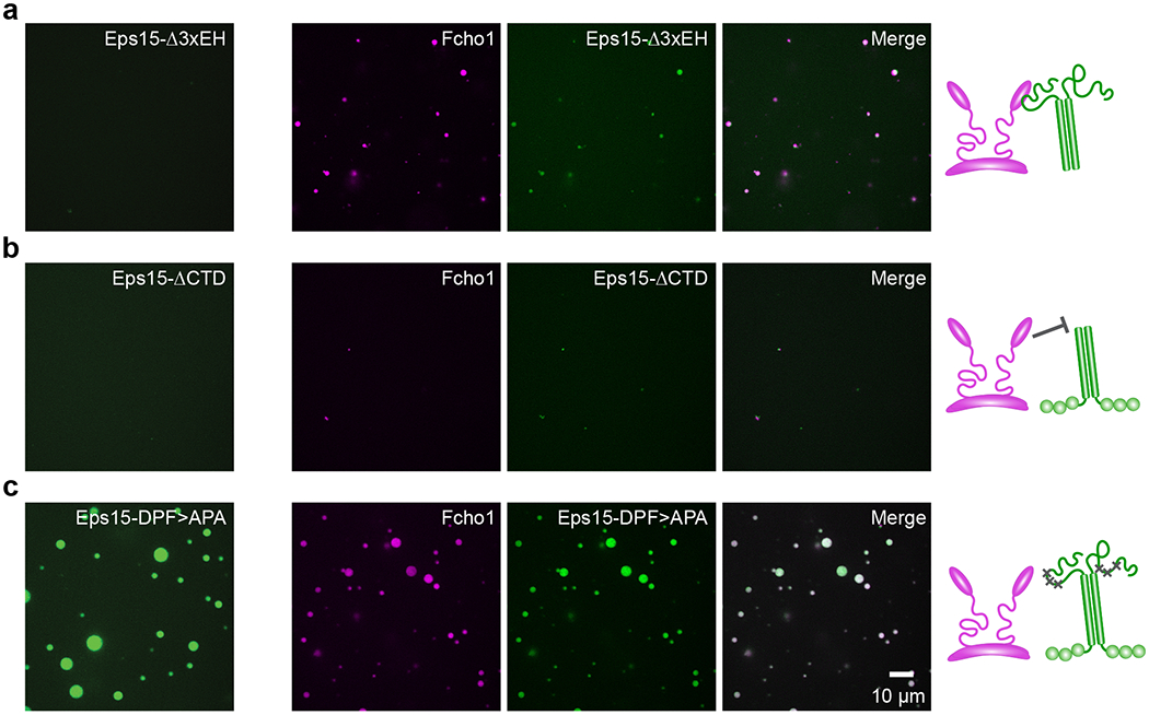 Extended Data Figure 4: