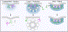 Extended Data Figure 6.