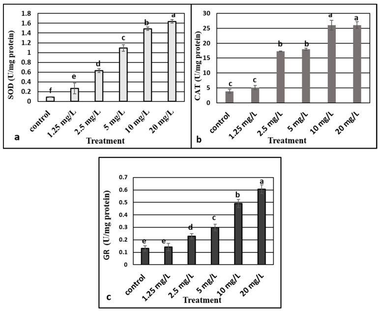 Figure 5